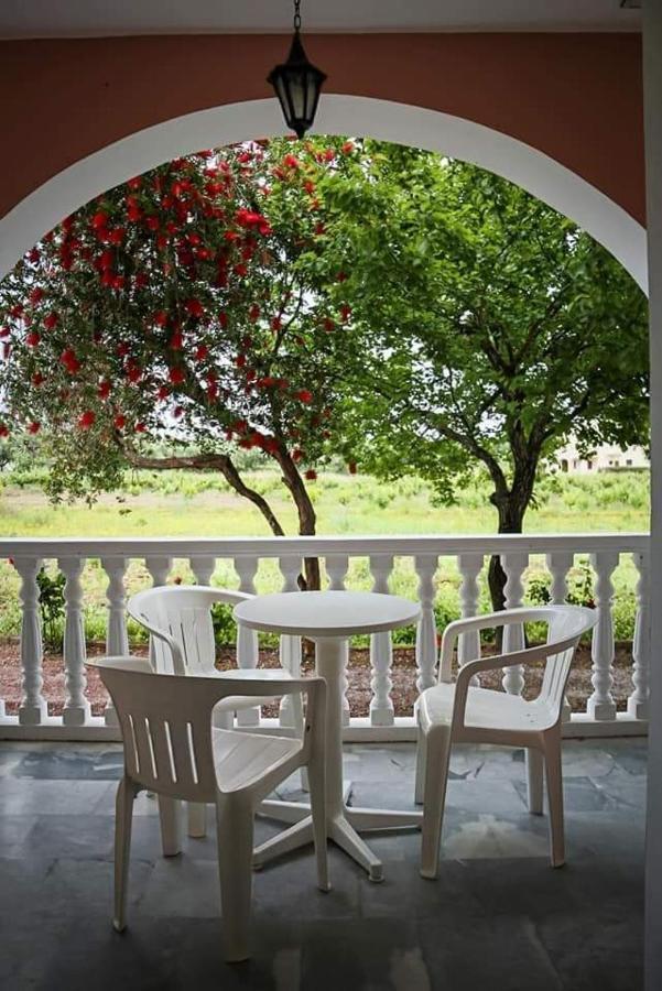 Souda Studios Alykes Zakynthos Экстерьер фото